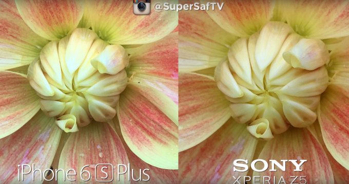 Сравнение камер Sony Xperia Z5 и iPhone 6S Plus (09 фото + видео)